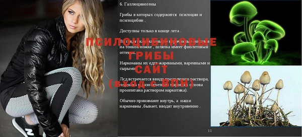 СК Корсаков