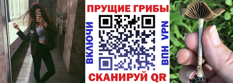ОМГ ОМГ как войти  Ува  Псилоцибиновые грибы Magic Shrooms 